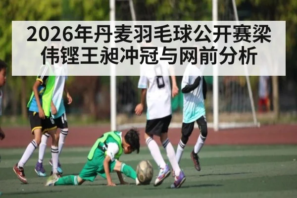 2026年丹麦羽毛球公开赛梁伟铿王昶冲冠与网前分析